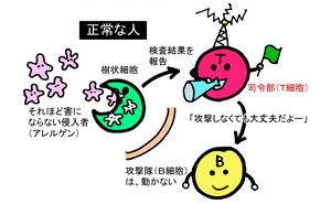 正常な免疫のしくみ