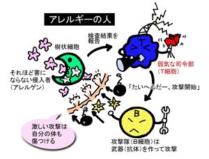 異常な免疫のしくみ